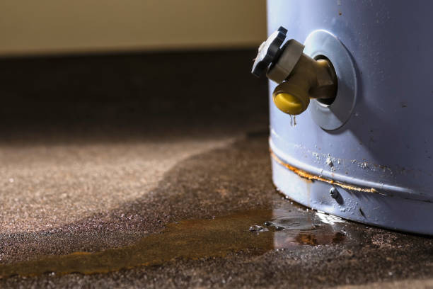Best Sewage cleanup and water damage restoration  in Milton, DE