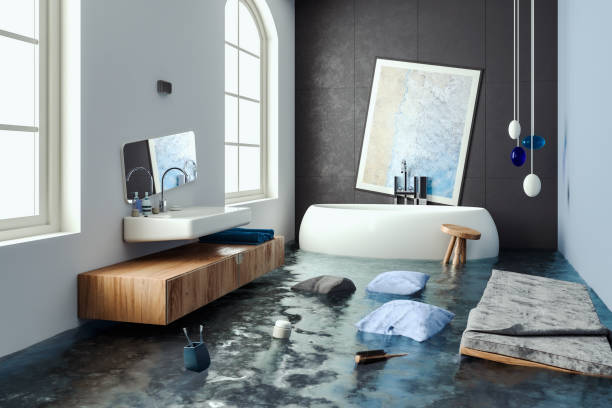 Carpet water damage restoration in Milton, DE