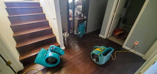 Milton, DE Water damage restoration Company