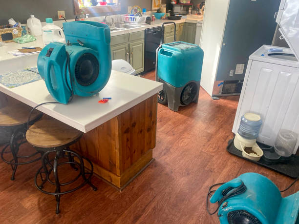 Best Water damage contractors near me  in Milton, DE