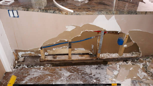 Best Water damage restoration services  in Milton, DE
