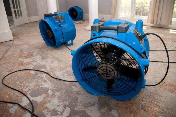 Best Ceiling water damage repair  in Milton, DE