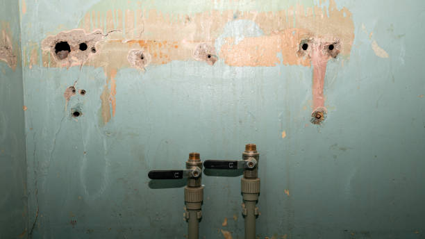 Best 24/7 water damage repair  in Milton, DE