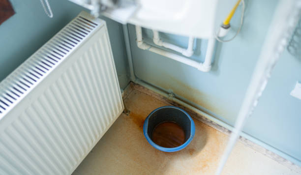 Best Basement water damage restoration  in Milton, DE