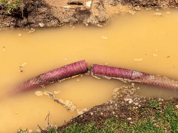 Best Local water damage restoration  in Milton, DE