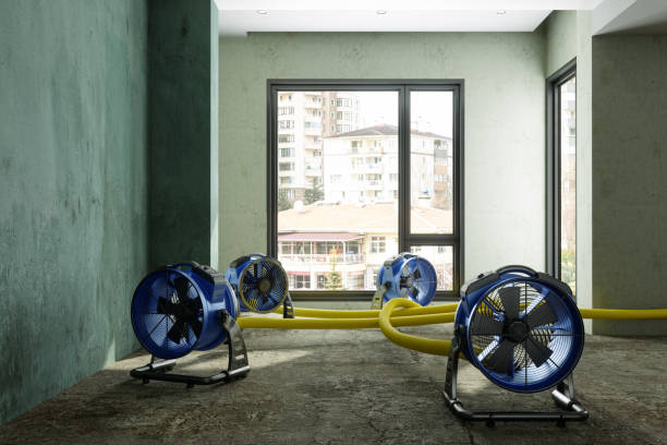 Best Carpet water damage restoration  in Milton, DE