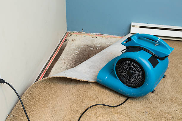 Best Sewage cleanup and water damage restoration  in Milton, DE